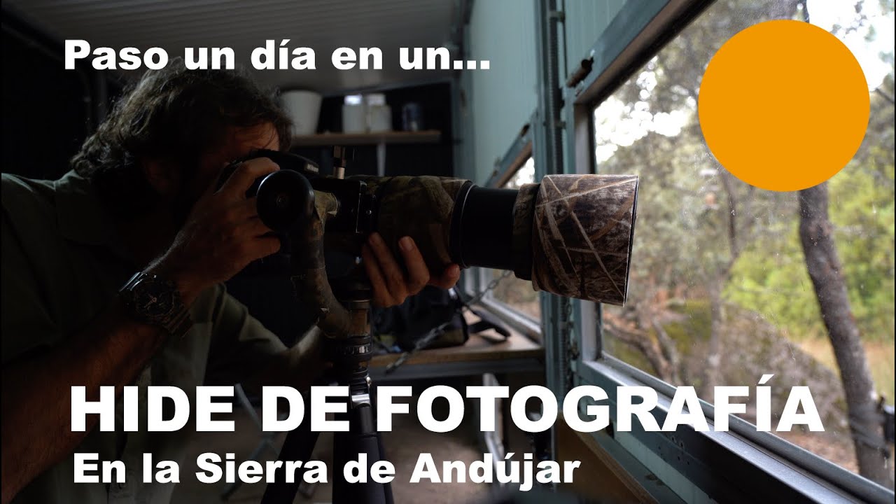PASO UN DÍA EN UN HIDE DE FOTOGRAFÍA