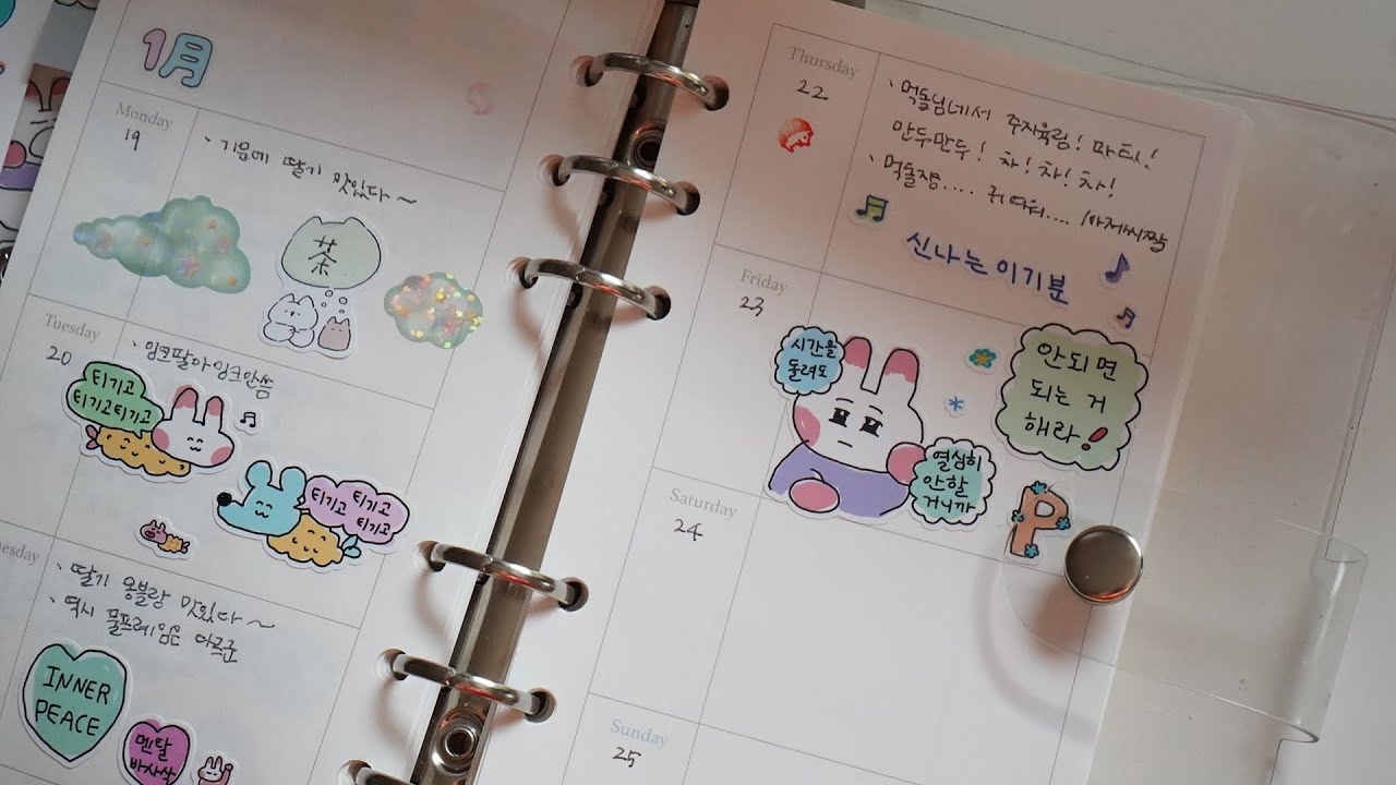 다꾸하는 영상