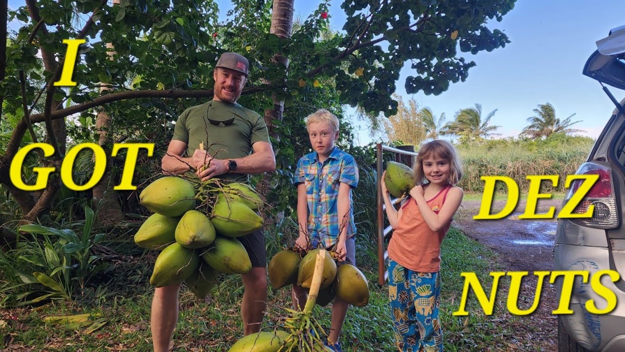Climbing Coconut Trees in Hawaii: The Kilcher Family's Ultimate Coconut Testing Adventure!