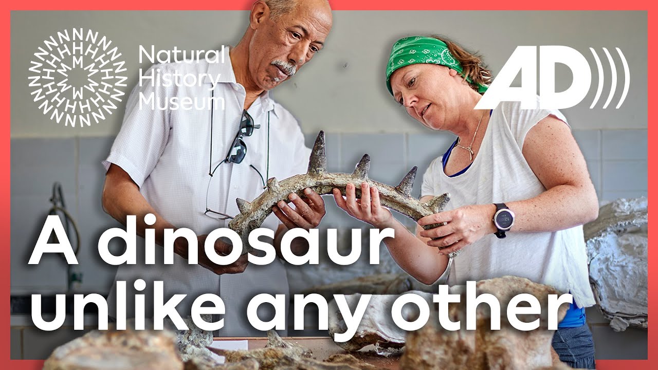 Уникальный бронированный динозавр обнаружен в Марокко (с аудиоописанием)