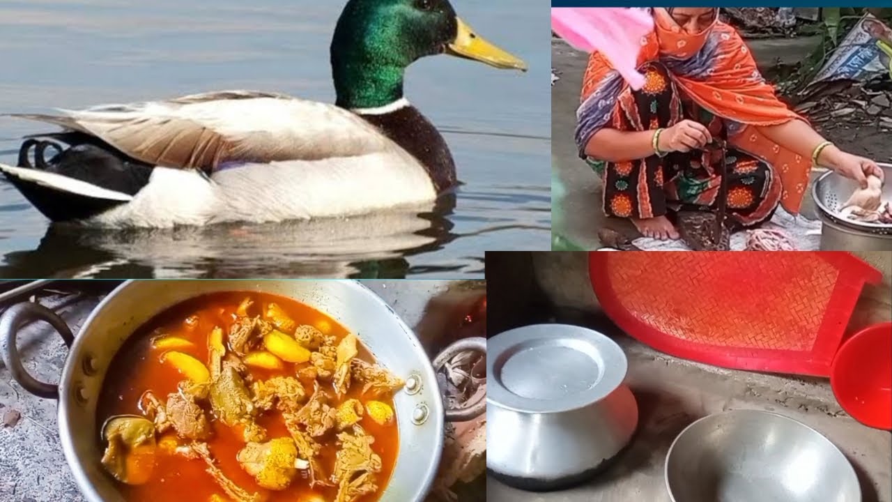 শীতের রাজা ভারী মজা পাতি হাসের মাংস/গ্রাম্য পরিবেশে মাটির চুলায় রান্না/new saras vlogs 