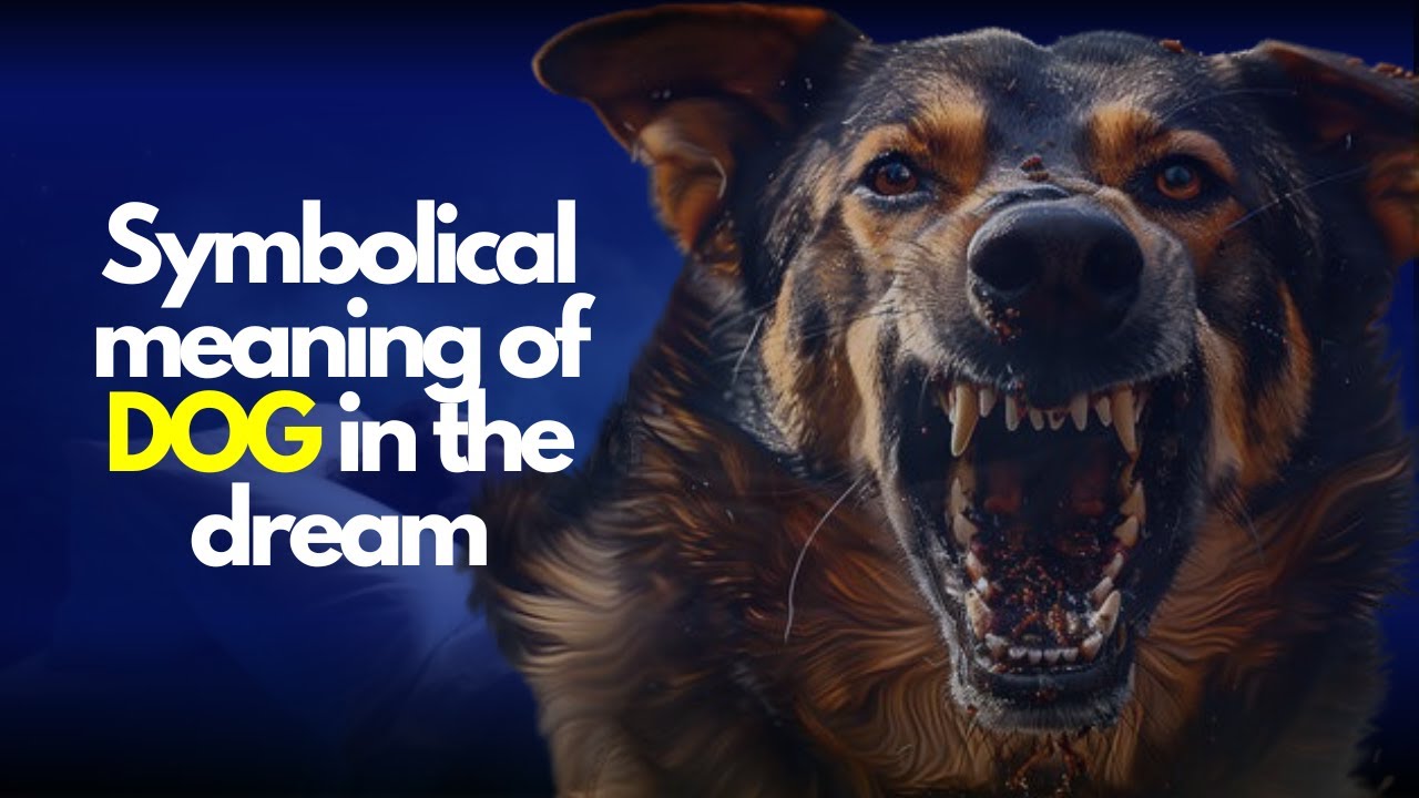 Symbolical meaning of Dog in Dream | No 3 is very important | Prophet Onyedikachi Ogozi