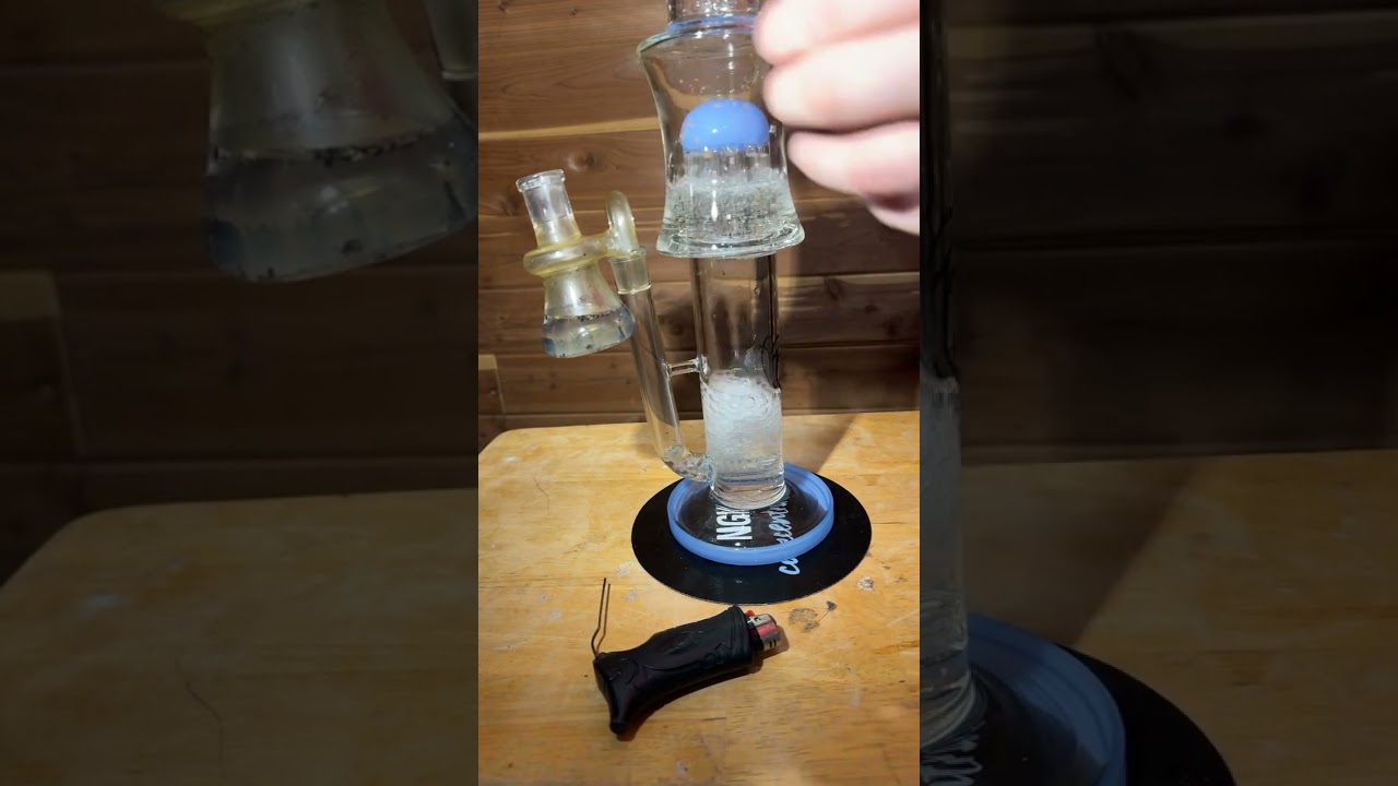 Terp Tube Tuesday #bonghits4subs #highlife