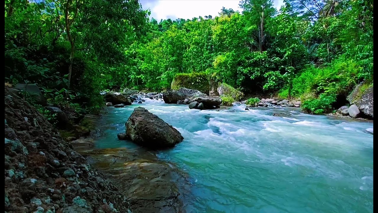 Tranquil River Ambience – Soft Stream and Forest Sounds for Deep Sleep and Inner Peace