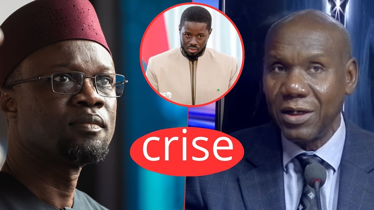Nouvelle révélation fracassante de l'économiste Medoune Diop sur Sonko responsable de la crise écono