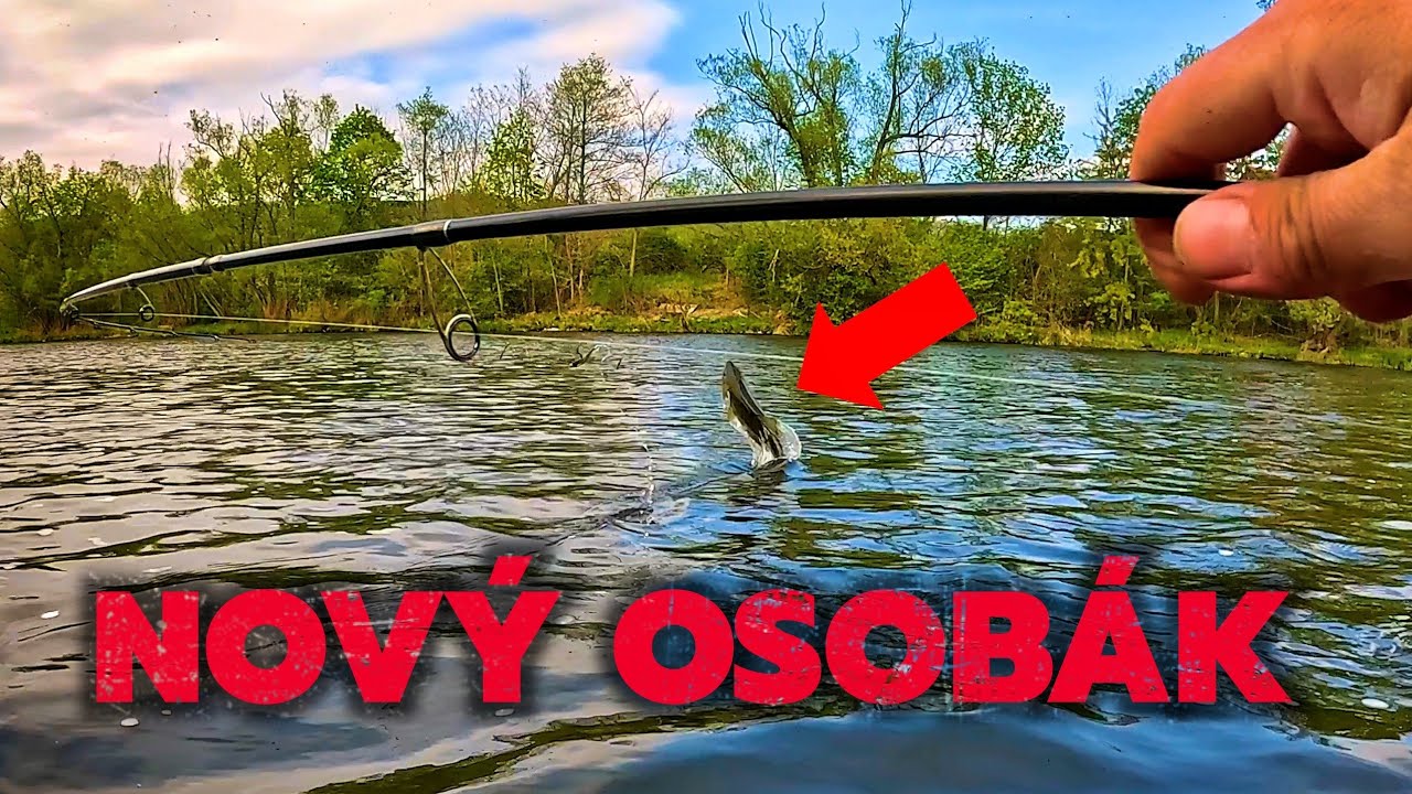 MŮJ REKORDNÍ POTOČÁK Z ČR / MY BIGGEST BROWN TROUT FROM CZECH REPUBLIC