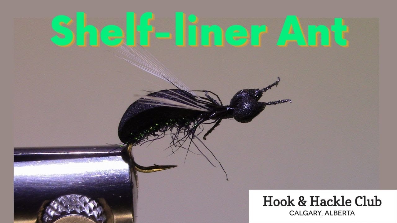 Hook and Hackle Club Presents - Shelf-liner Ant