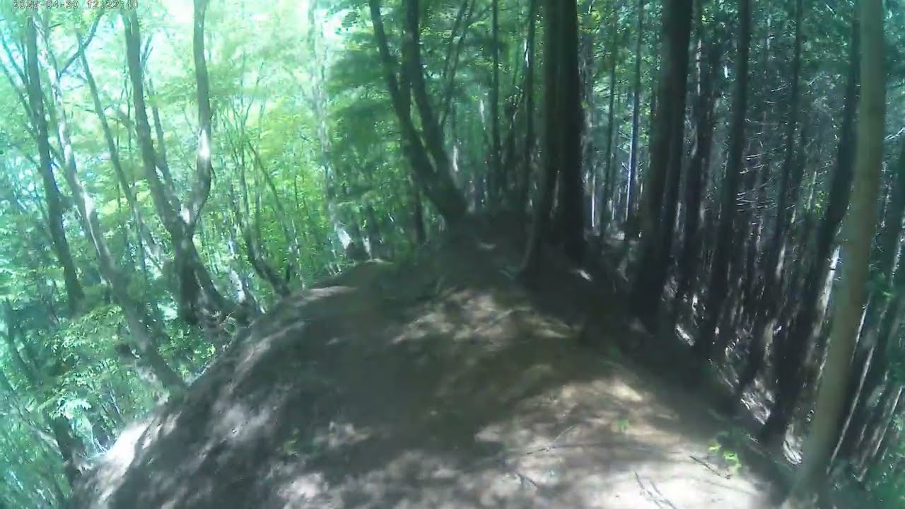 ㉑坪山下山中　2025年 12時16分