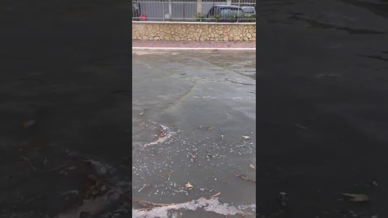 Mareggiata Nocera Terinese 1