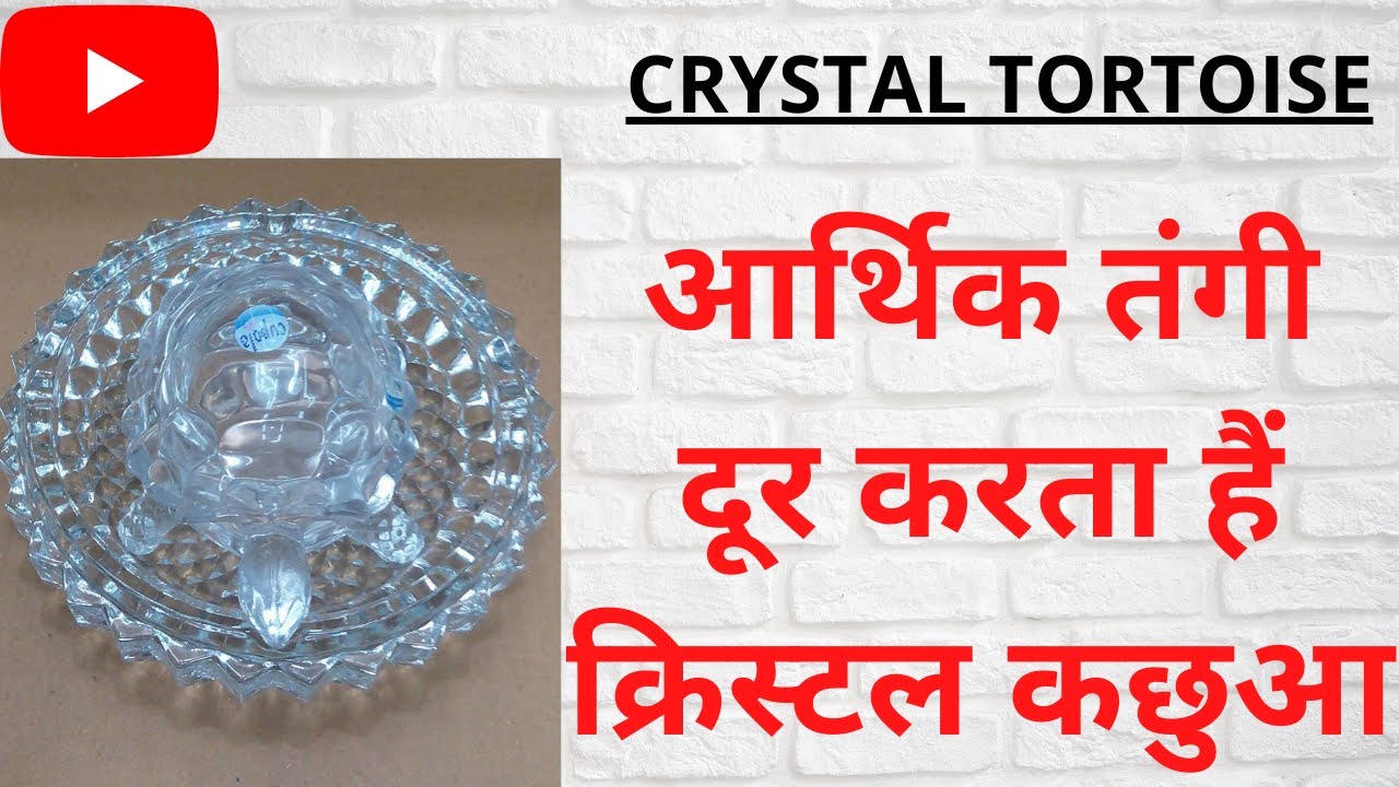 crystal tortoise direction | crystal tortoise direction in home in hindi | crystal tortoise benefits