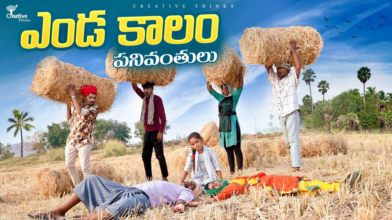 Village lazy Youth Summer Farm Works | Multi Comedy | 4K | Creative Thinks