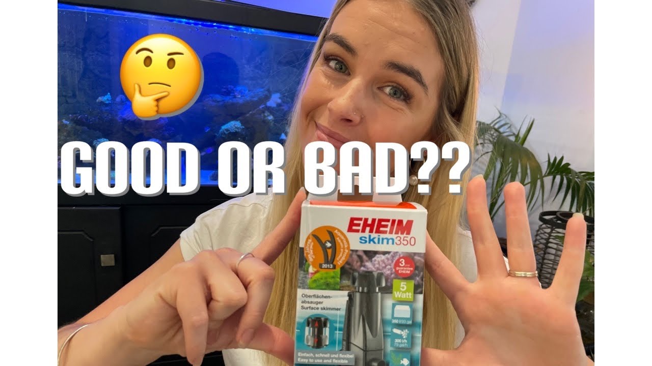Skimmer review, Eheim Skim 350 in my saltwater tank