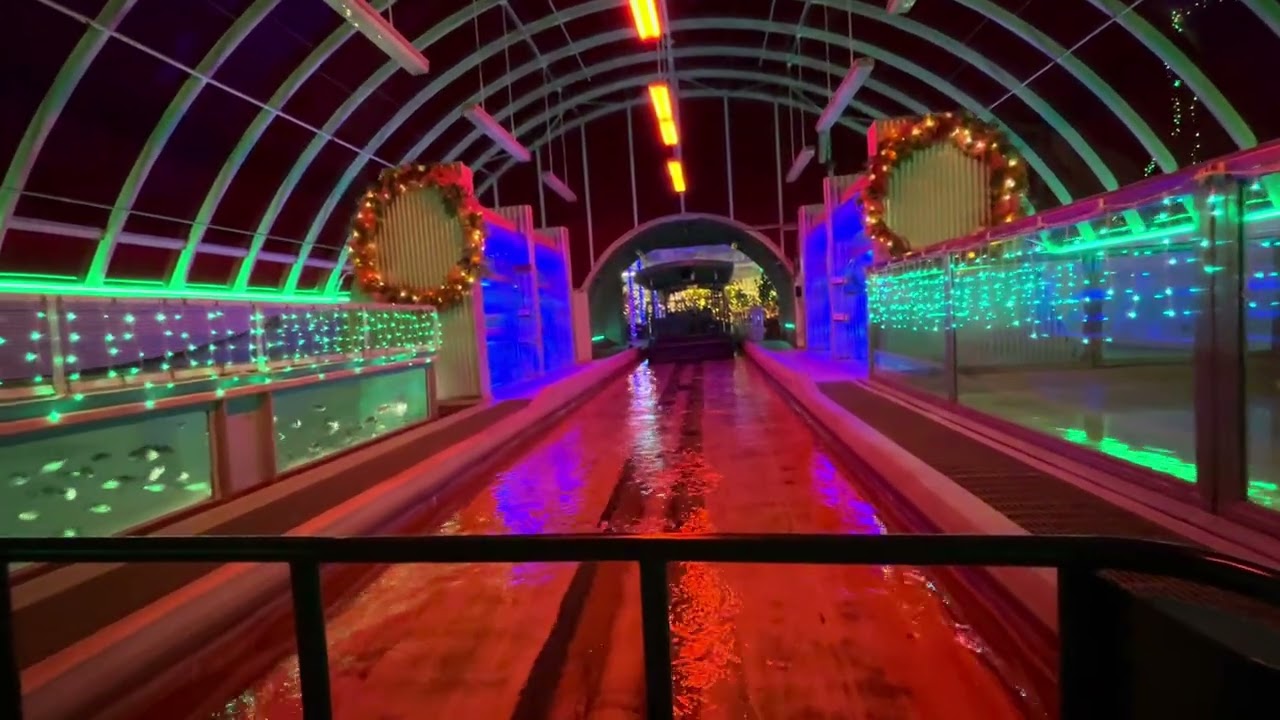 Epcot living with the land at Christmas and Christmas lights. ￼