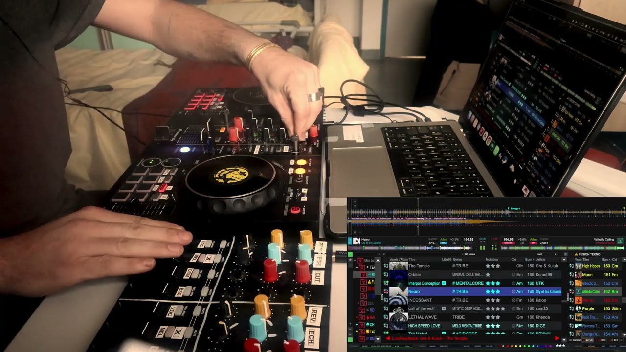 DJ Mashup (Viking - Tribe) (Miracle of Sound - Oly et les Cafards) - Europa