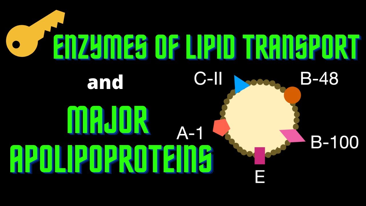 USMLE Step 1 - Lesson 74 - Key enzymes in Lipid Transport and Major Apolipoproteins