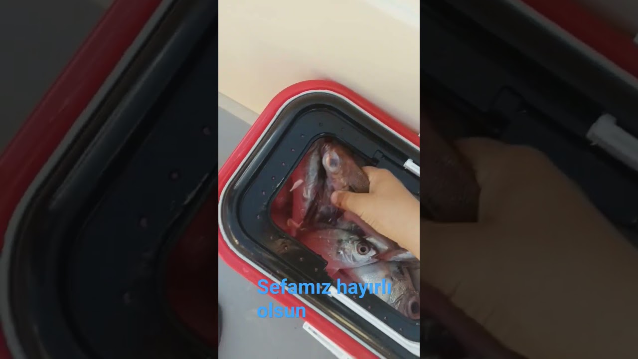 25 Şubat 2024