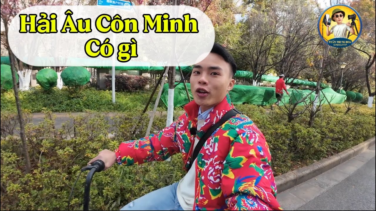 Hải âu Côn Minh Trung Quốc Đáng Để Đi Du Lịch ! 