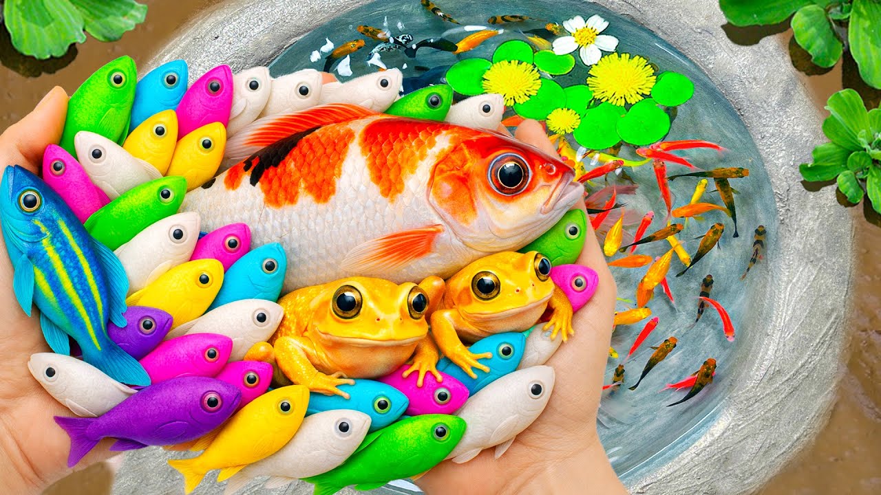 Catch Ornamental Fish in Giant Colorful Eggs, Tropical Fish, Purple Tiger Fish, Dragon Guppy, Turtle
