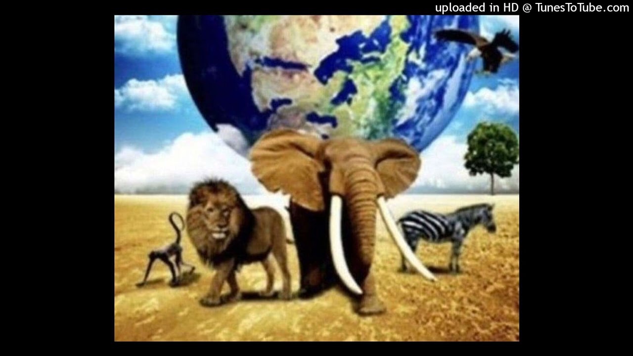 (free for profit) lil dre 556 + perc40 + boolymon type beat