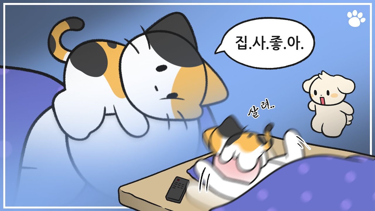 고양이가 집사 잘 때, 얼굴에 올라오는 이유 4가지