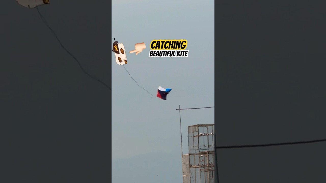 Catching this beautiful kite🤩wait for end #song #catching #kite #kitecaught #unfrezzmyaccount
