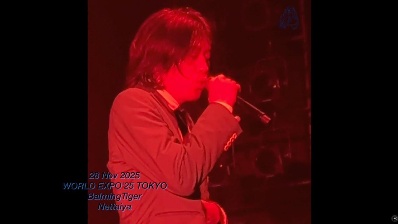 Nettaiya 20251128