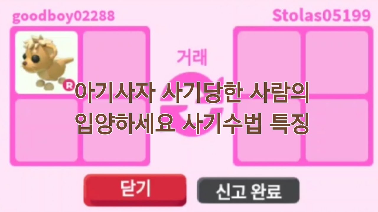 아기사자 사기당한 사람의 입양 사기꾼 특징~