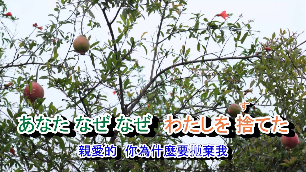 01-034  夢追い酒***森昌子  音緣 43414   金嗓 40316