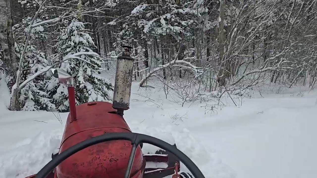 Post Nor'easter cleanup. Feb 24th 2026, 2nd vid