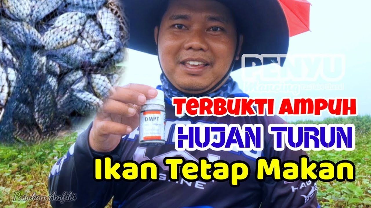 ESSEN INI TERBUKTI AMPUH || MANCING NILA CUACA MENDUNG DAN HUJAN DMPT MASIH BISA DIANDALKAN