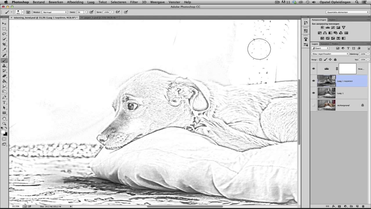 Hoe maak je een tekening van een foto in Photoshop?