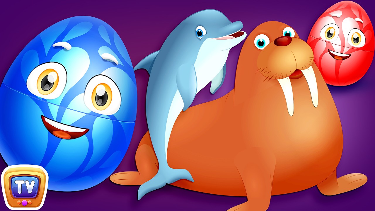 Learn Wild Sea Animals + More ChuChu TV Surprise Eggs Learning Videos SUPER COLLECTION 2