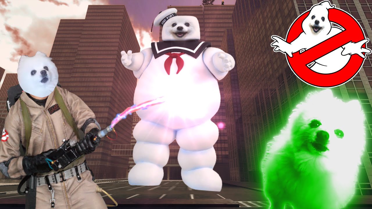 고스트버스터즈 (Ghostbusters) 강아지 리믹스