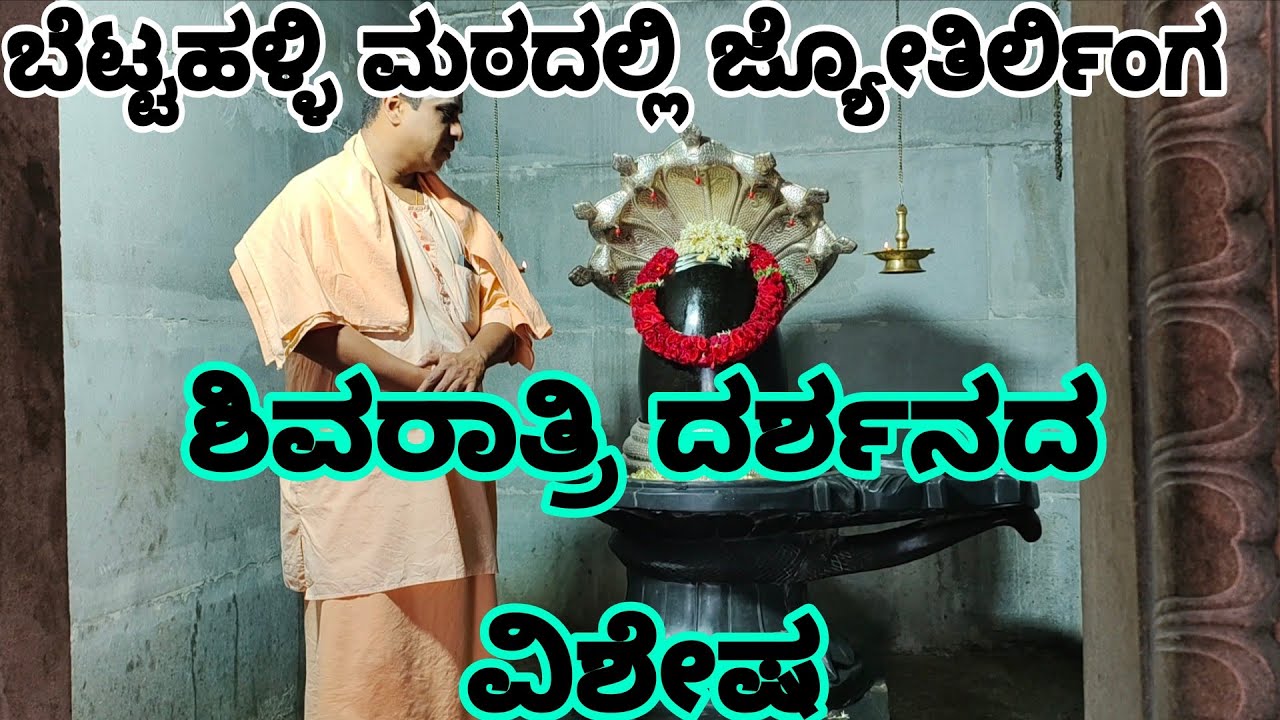 ಬೆಟ್ಟಹಳ್ಳಿ ಮಠದಲ್ಲಿ ಜ್ಯೋತಿರ್ಲಿಂಗ | ಶಿವರಾತ್ರಿ ದರ್ಶನದ ವಿಶೇಷ Jyotirlinga at Bettahalli Math