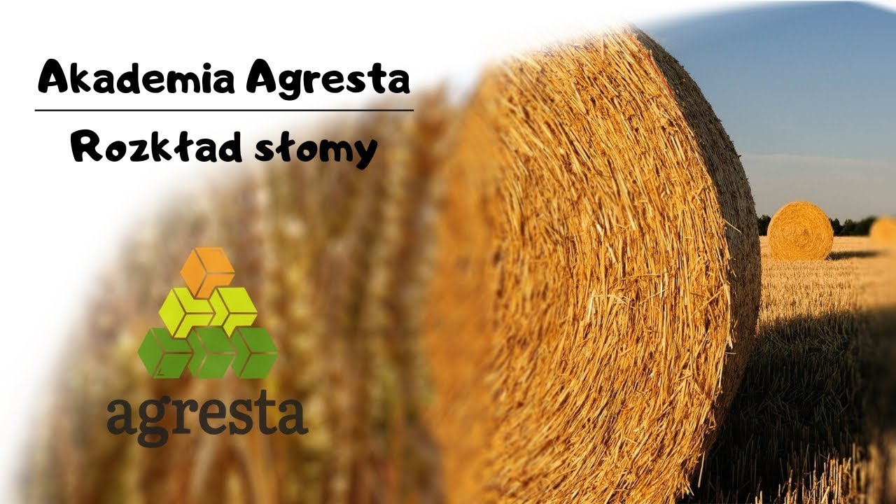 Jak rozłożyć słomę? #resztkipożniwne #mineralizacja #humifikacja