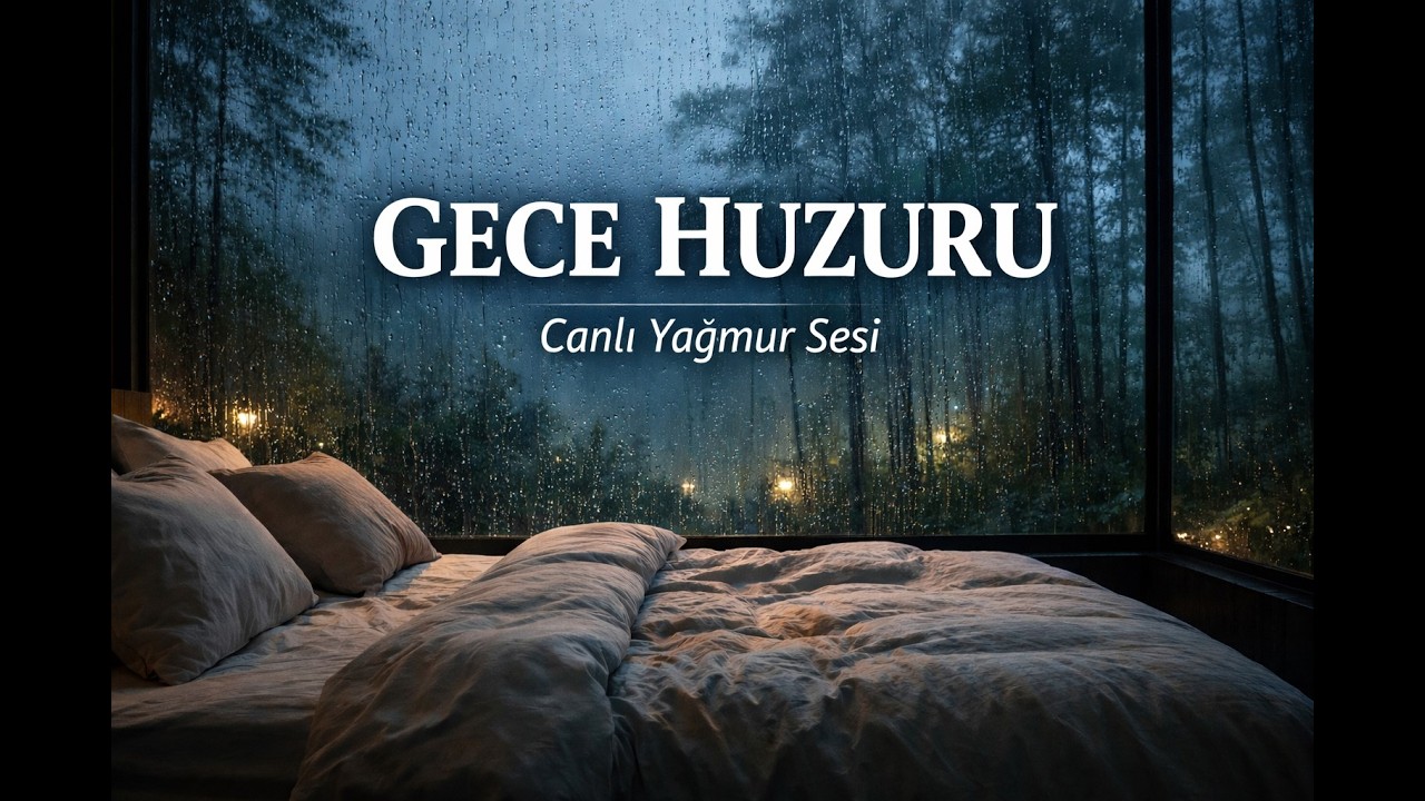 💚 Yağmur Sesi 🌧️ Pencereye Vuran Yağmur | Orman Manzaralı Gece Yayını (Canlı)