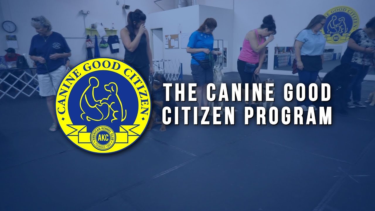 AKC Canine Good Citizen Program