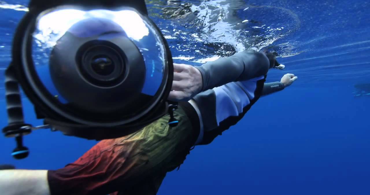 Canon - Wildlife and underwater photography with Canon Master Darren Jew - Canon Australia