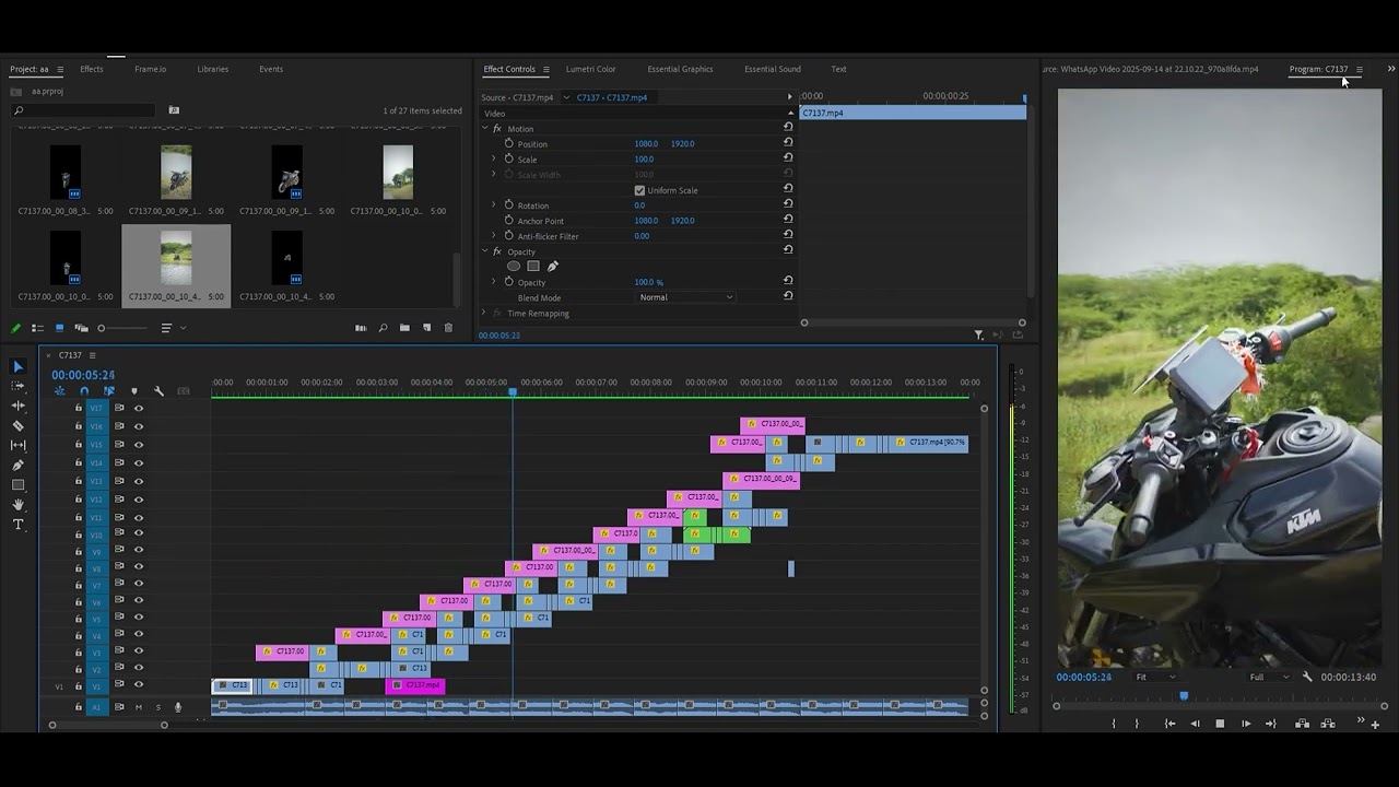PREMIER PRO AFTER EFFECT