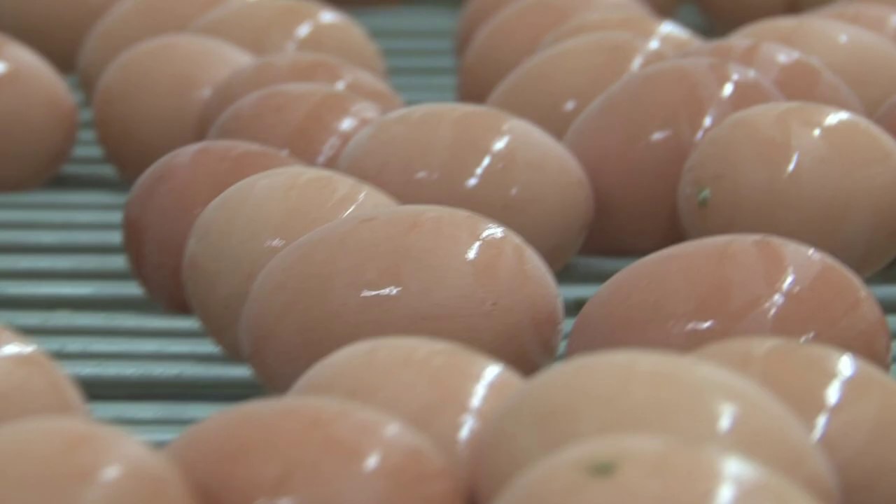 Egg Sanitation: Farm Belt