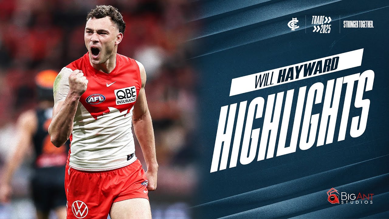 Highlights | Will Hayward