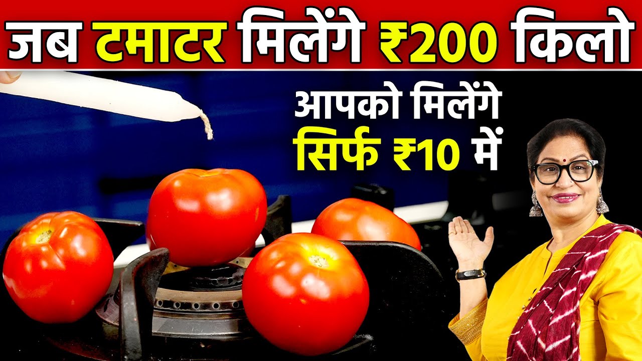 टमाटर के दाम ₹10 किलो से ₹200 किलो होने से पहले, इन 5 नए तरीको से स्टोर करें | Tomato Storage Hacks
