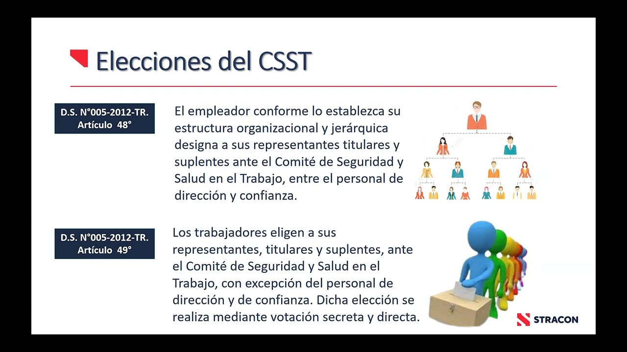 funciones y responsabilidades CSST