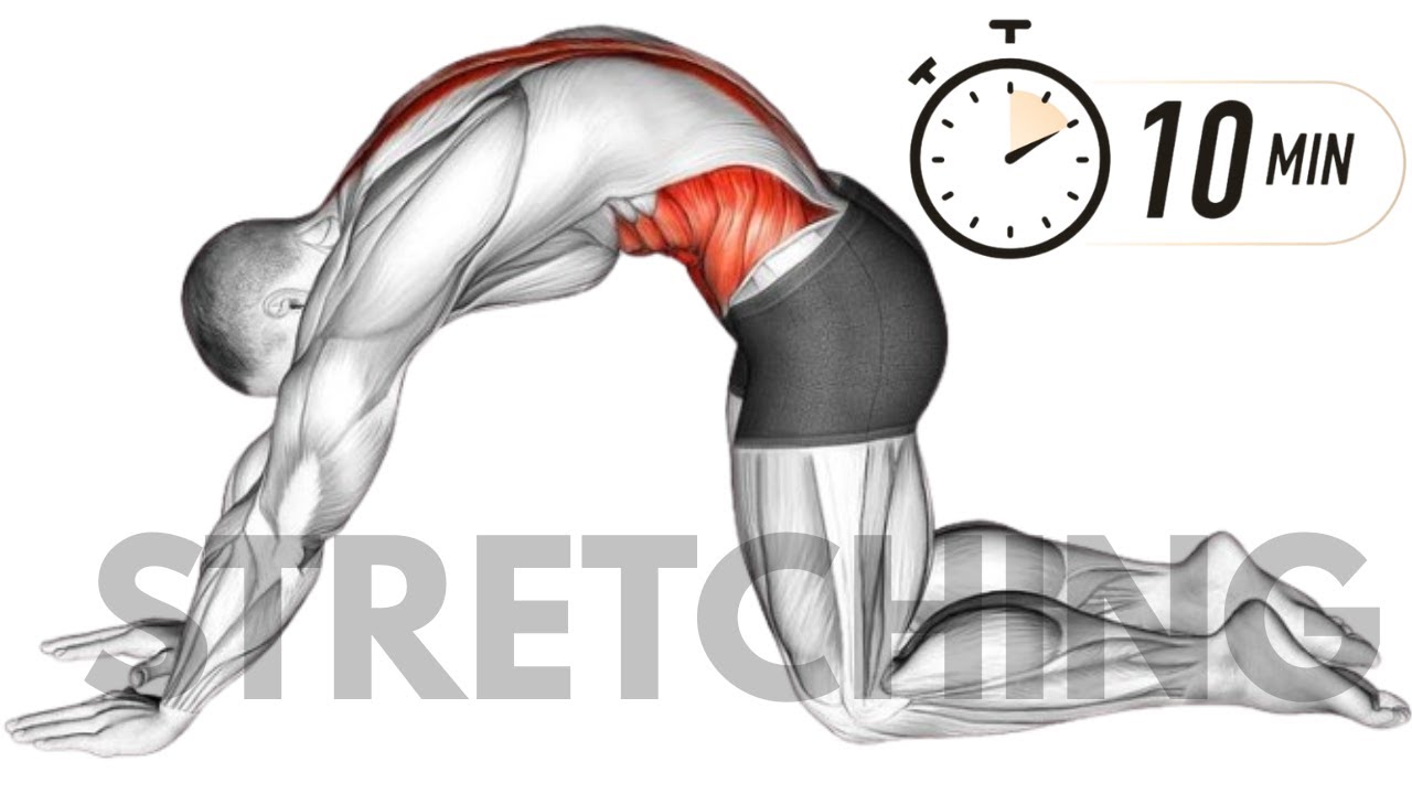 TOP 5 PAIN FREE MOVEMENT FULL BODY STRETCH 🔥