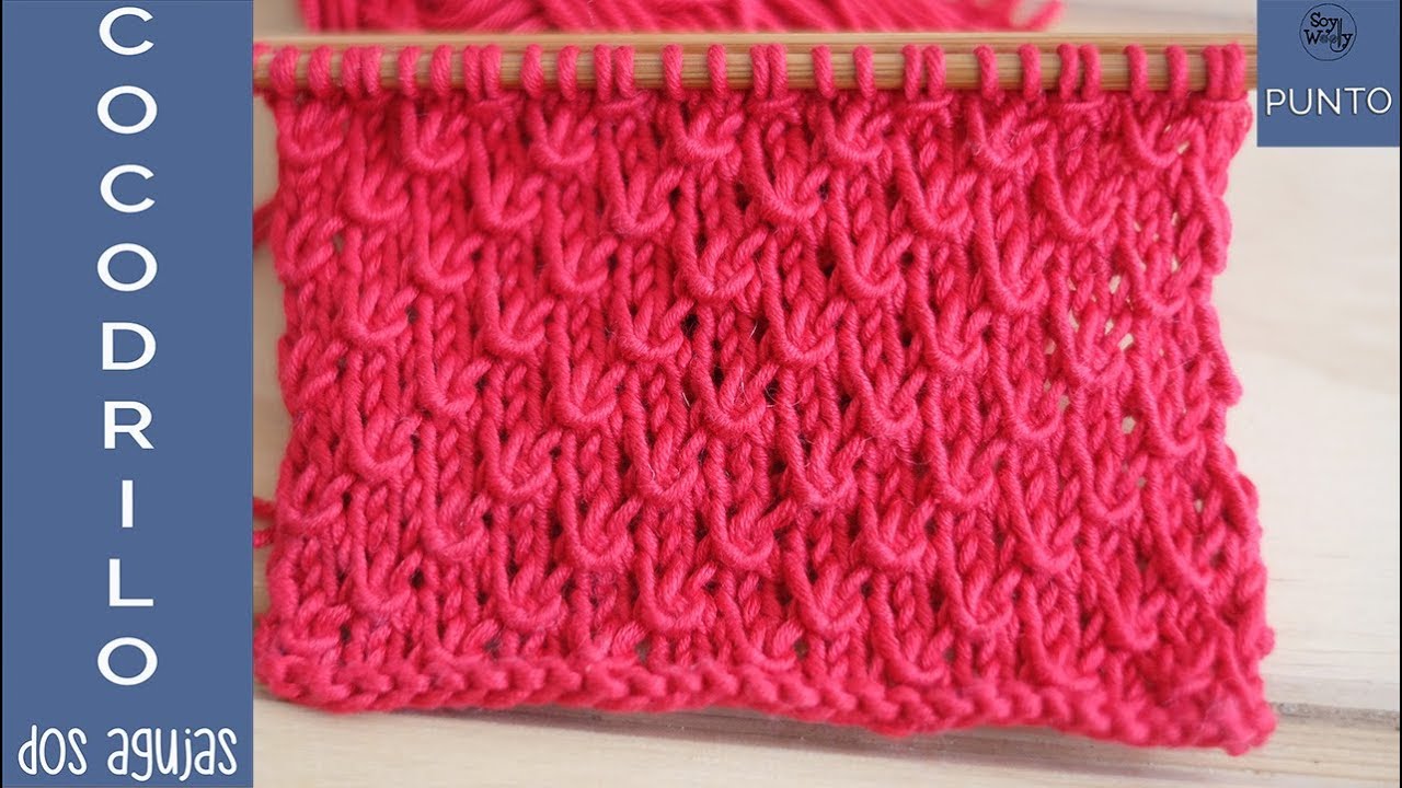 Punto Cocodrilo,  simplemente espectacular! (dos agujas) -Soy Woolly