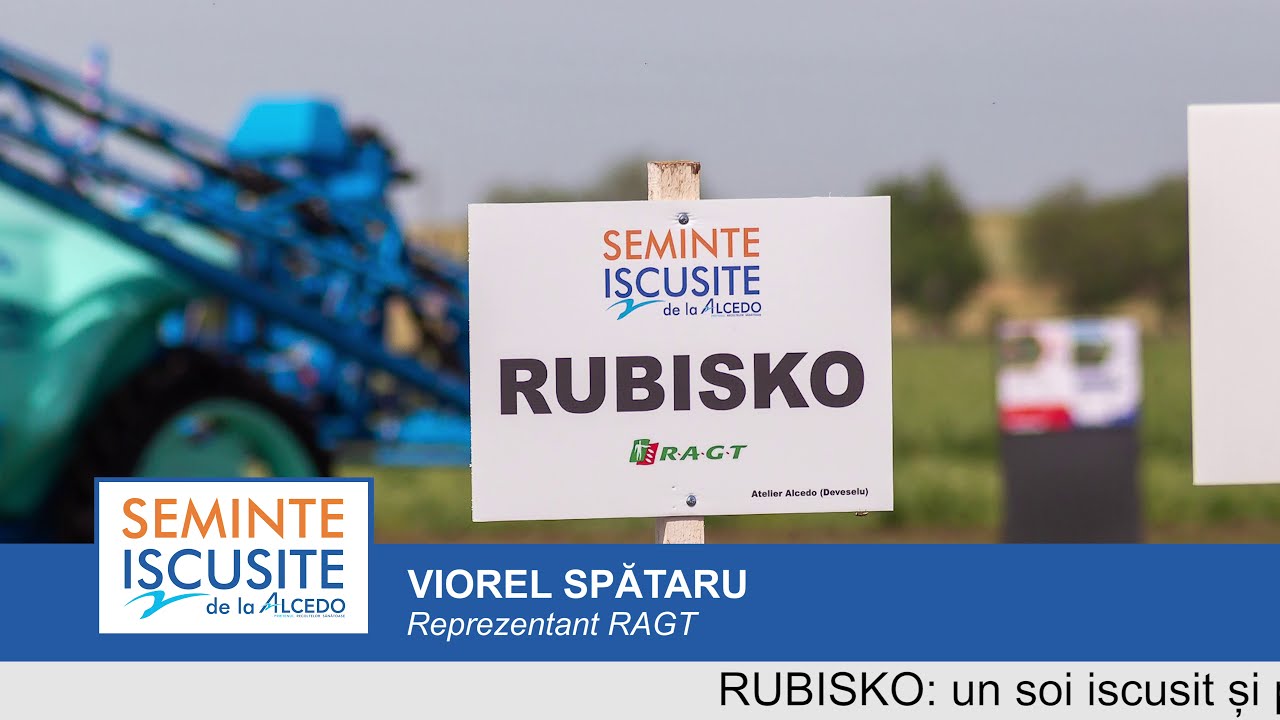 RUBISKO &ndash; soi de grau rezistent la ger, cadere si boli