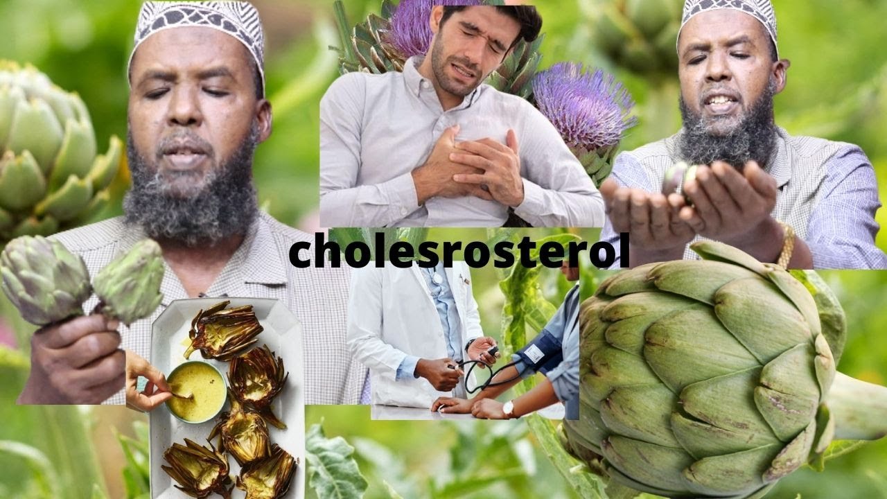 ARTICHOKE Isaga Dawee Sonkorta,Korostoroolka,Himada Lamaanaha..
