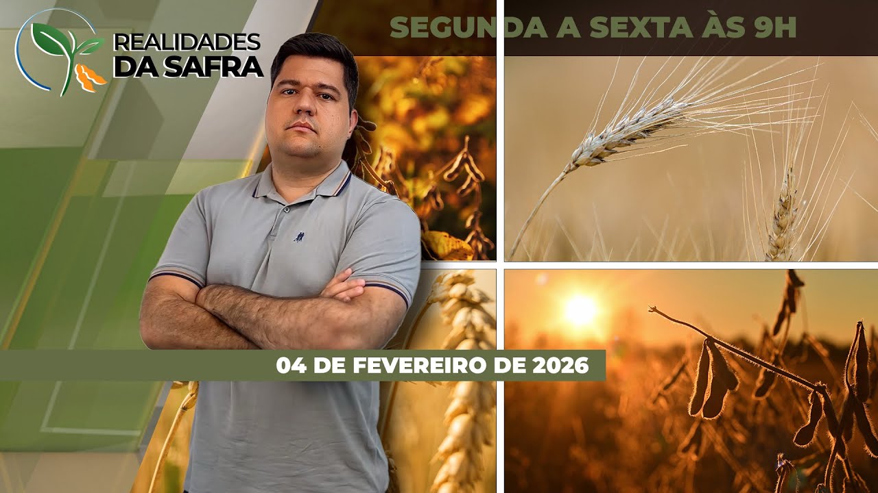 Safra de soja 2025/26 não cobre custos de produção e colheita avança com dificuldades...