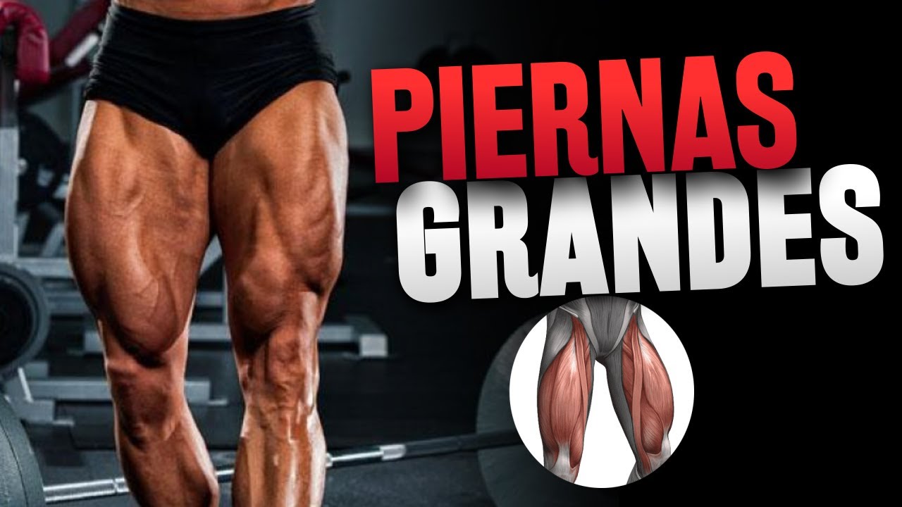 CÓMO DESARROLLAR UNOS CUÁDRICEPS GRANDES (Haz este ejercicio!)
