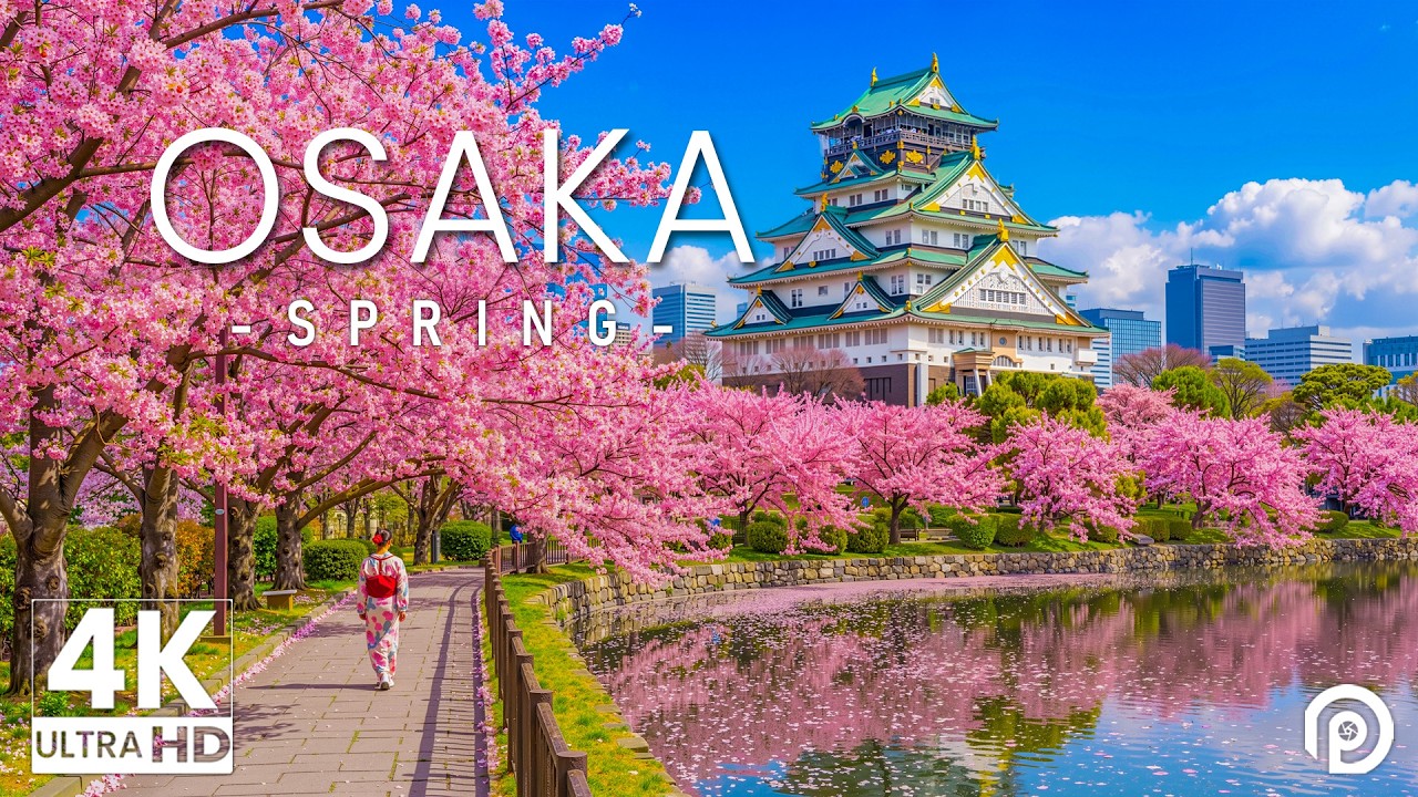 Spring in Osaka [ Japan ] 4K 🌷 Discover Cherry Blossoms, Historic Castle Views & Peaceful Urban Calm